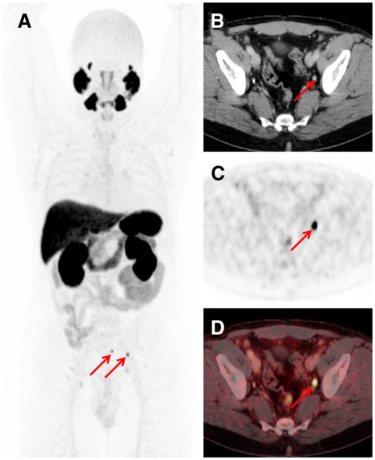 FIGURE 2.