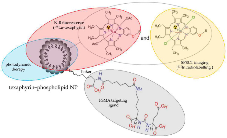 Figure 21