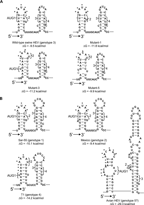 FIG. 4.