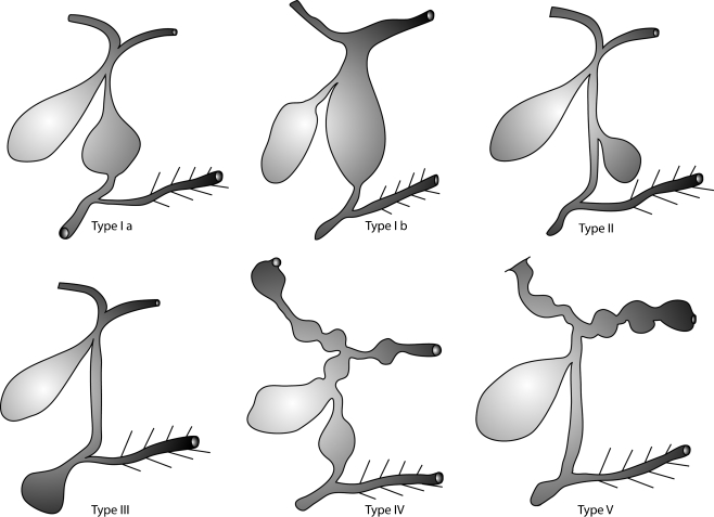 Fig. 6