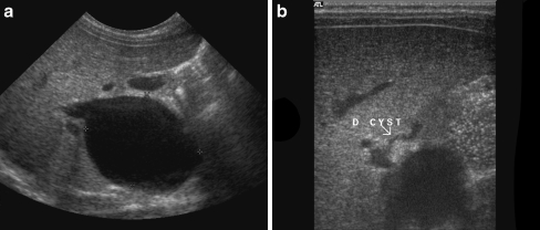 Fig. 7