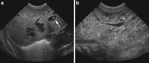 Fig. 8