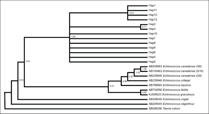 Figure 4.