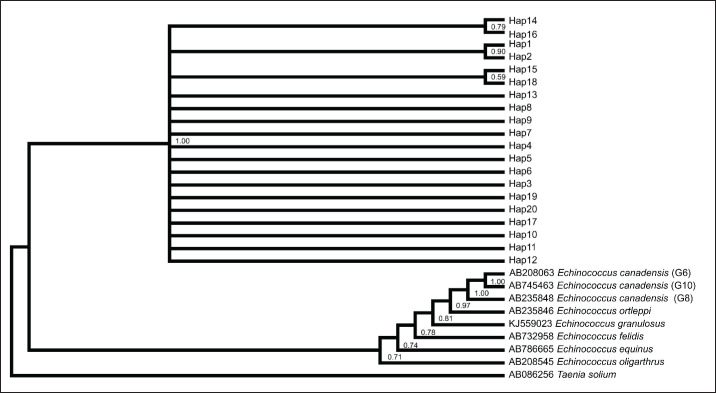 Figure 3.