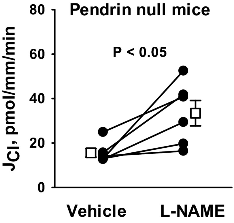 Fig. 10.