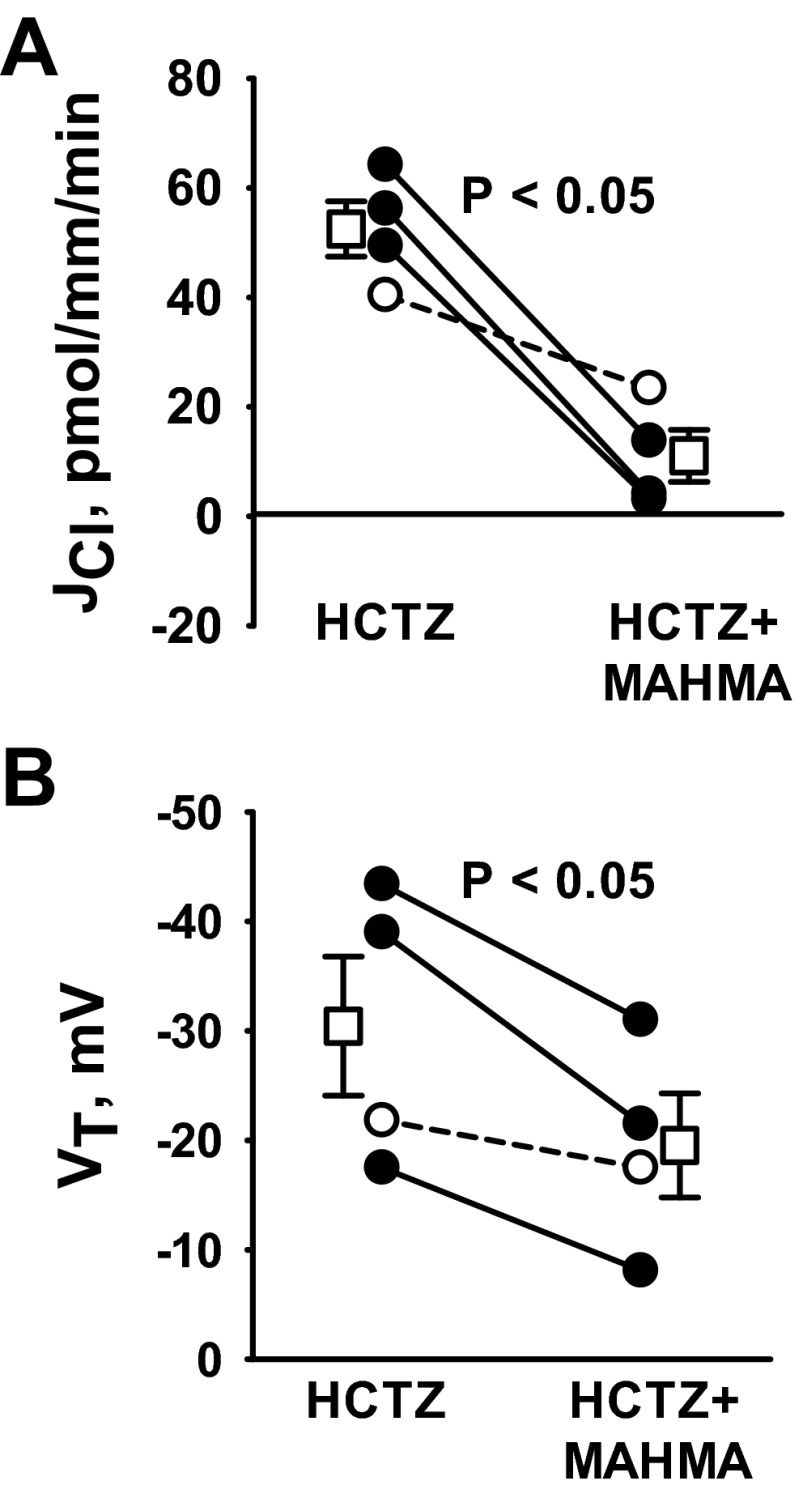 Fig. 8.