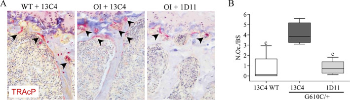 Fig. 9