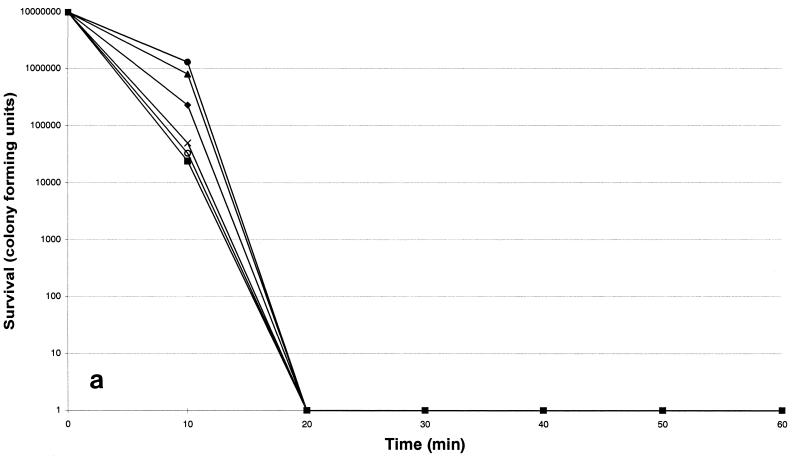 FIG. 1