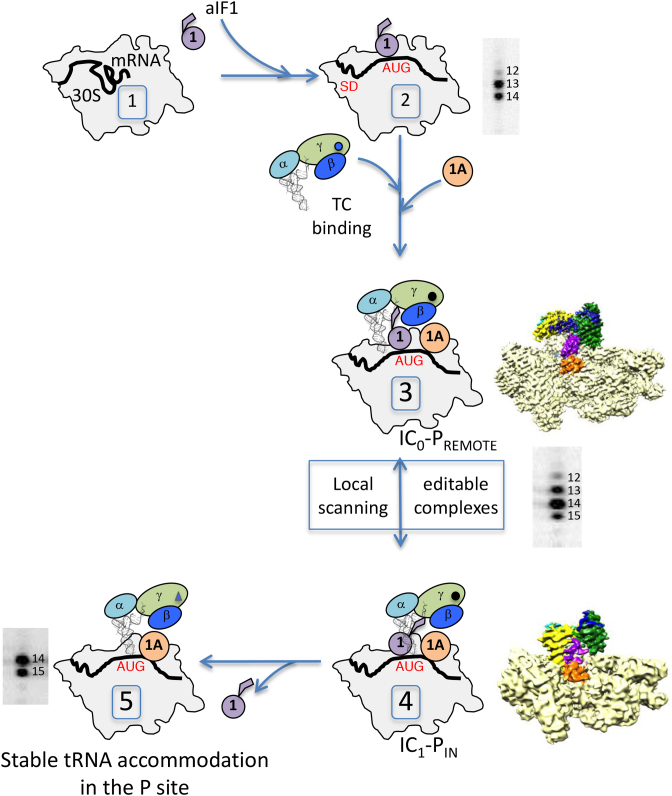 Figure 6.