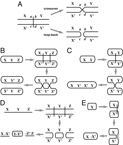 Fig. 5.