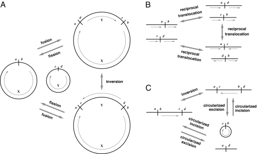 Fig. 2.