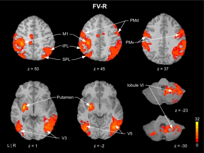 Fig. 3.