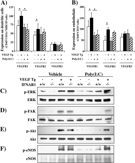 Figure 10.