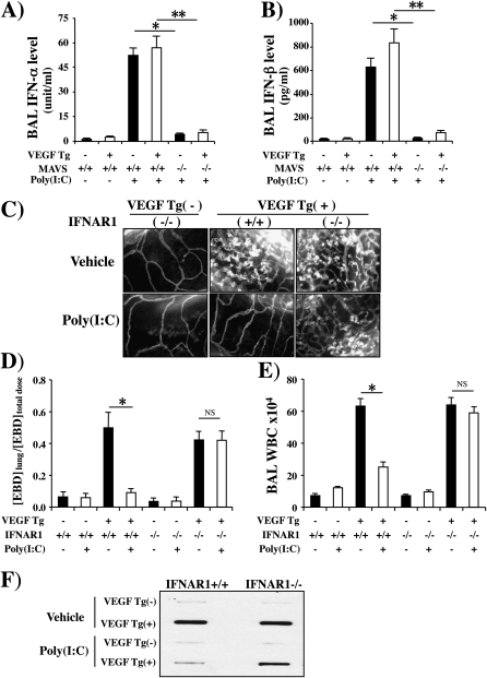 Figure 9.