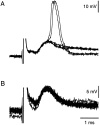 Fig. 5.