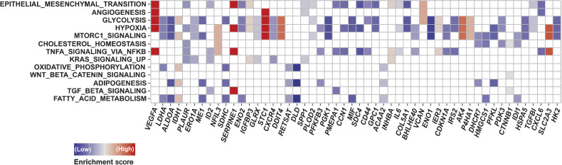 Figure 2. The leading-edge analysis of the gene set enrichment analysis (GSEA). The heatmap created by the leading-edge analysis of the GSEA indicates the relative expression level of each gene associated with 3 or more pathways. The top 5 genes related to significantly enriched pathways in non-responders to PD-1 blockade were VEGF-A, LDHA, ALDOA, IDH1, and PLAUR.