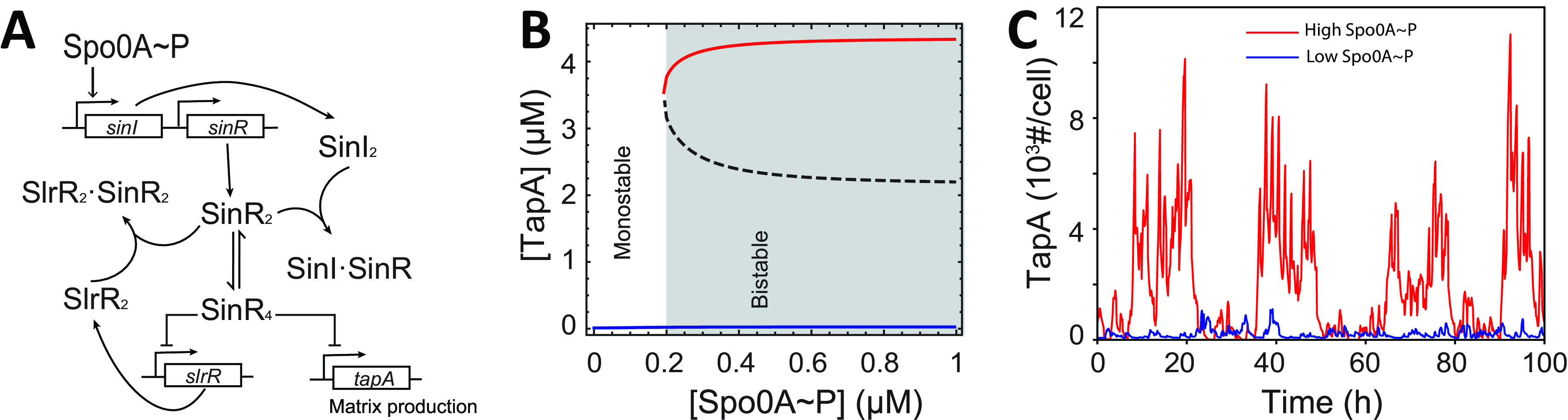 FIG 1