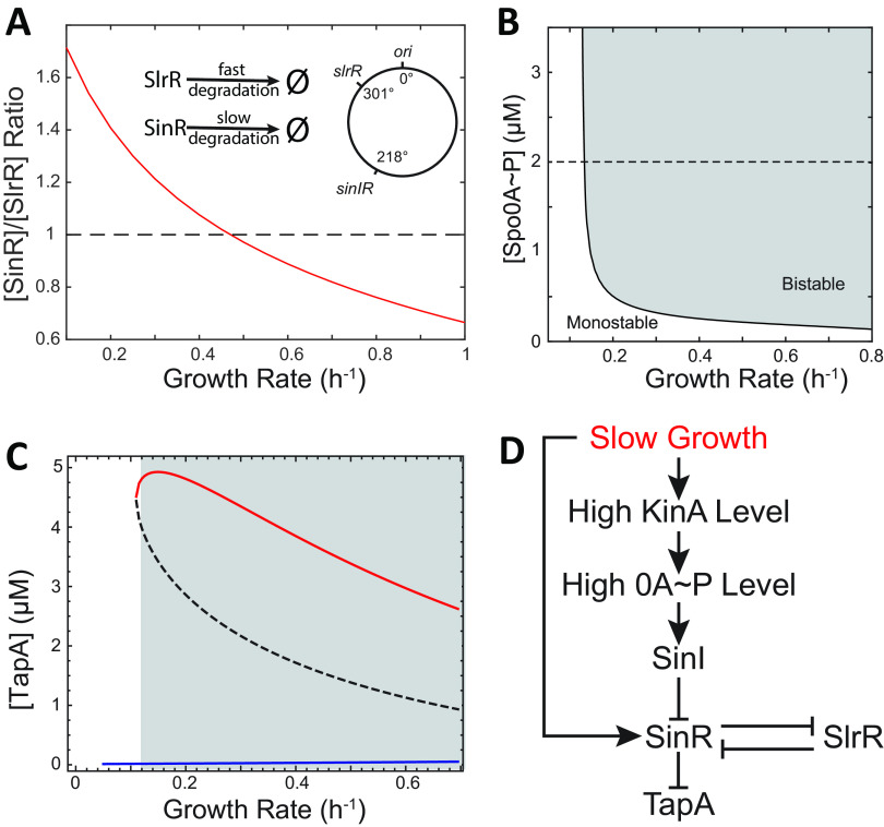 FIG 3