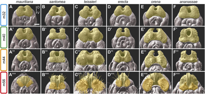 FIGURE 3