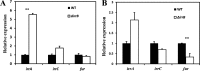 FIG 4