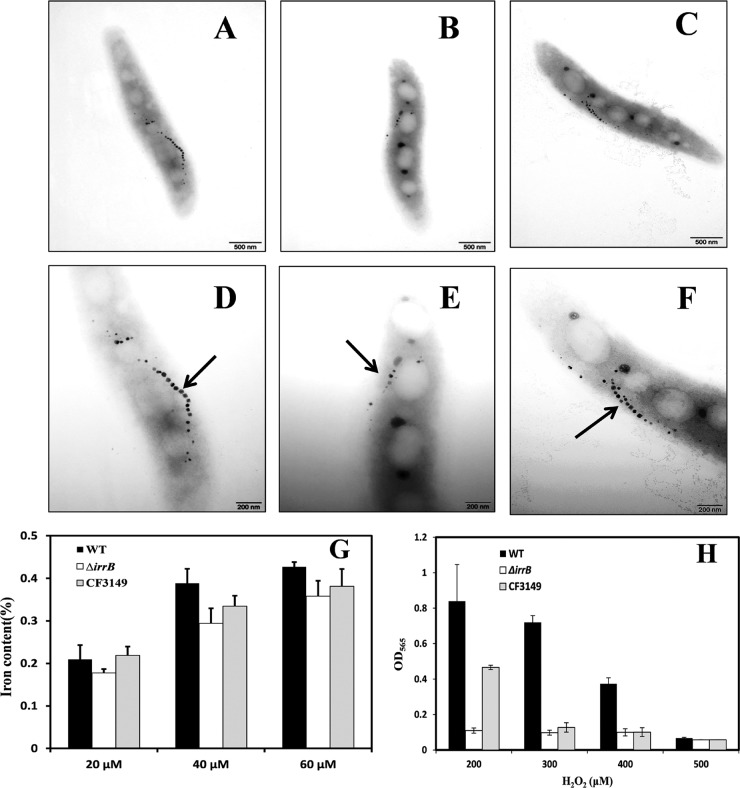 FIG 3