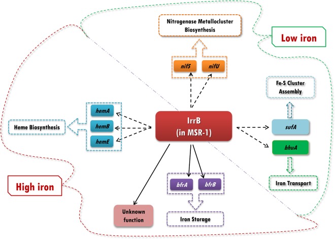 FIG 6