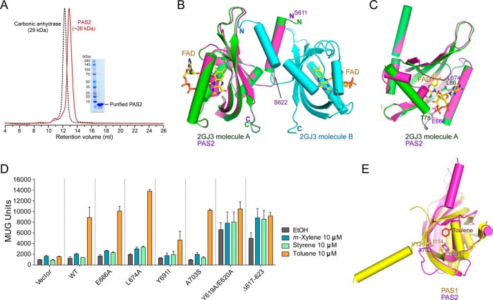 FIGURE 4.