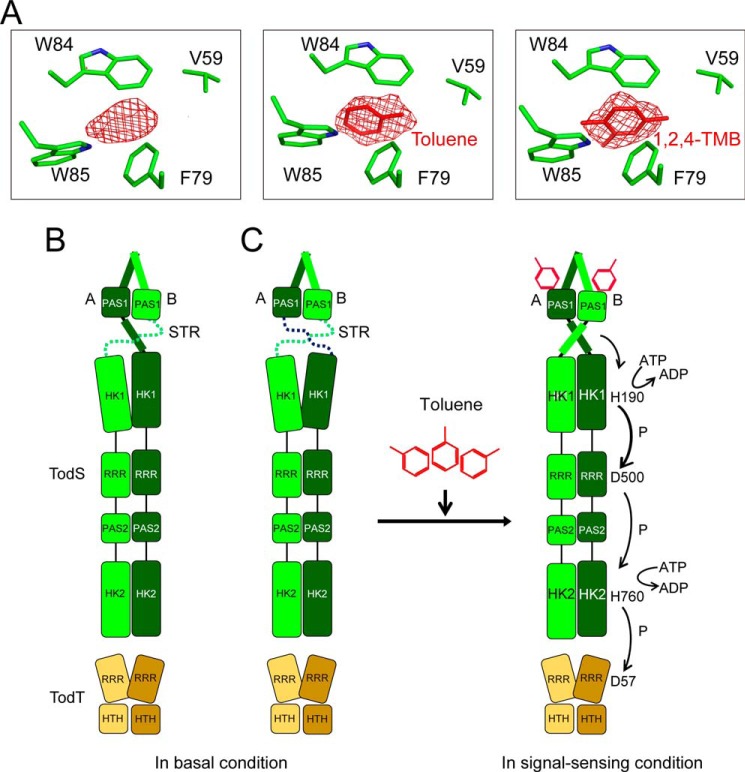 FIGURE 7.