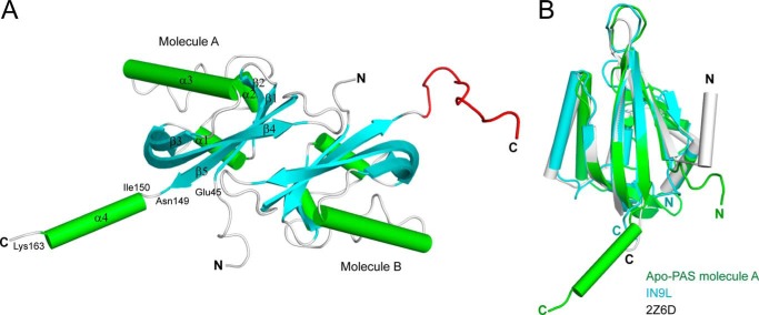 FIGURE 1.