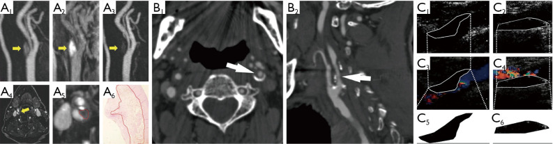 Figure 6