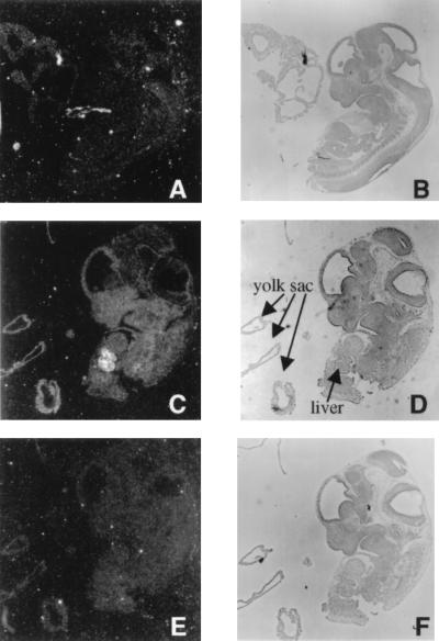 FIG. 5