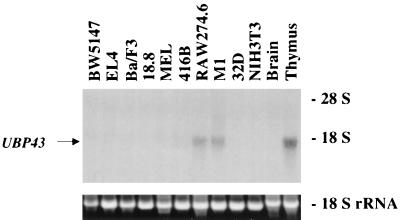 FIG. 7