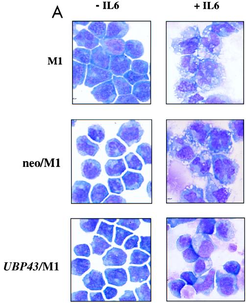 FIG. 9