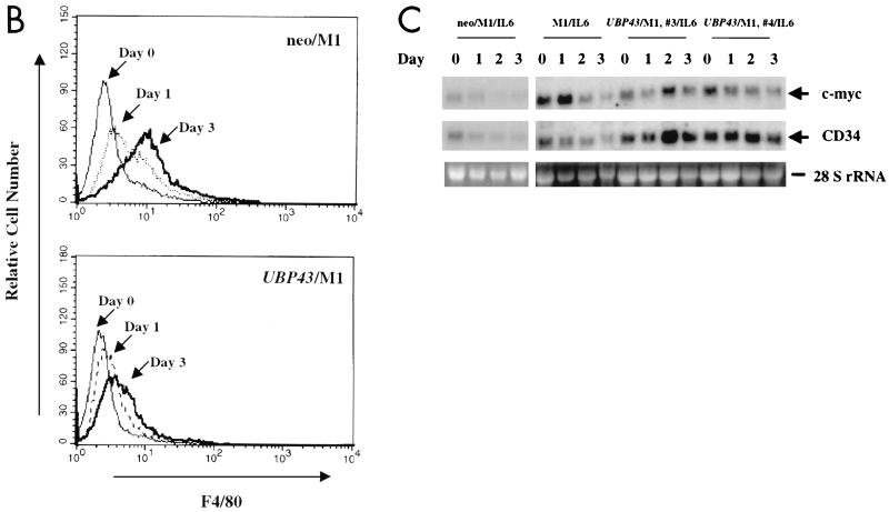 FIG. 9