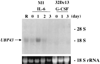 FIG. 8