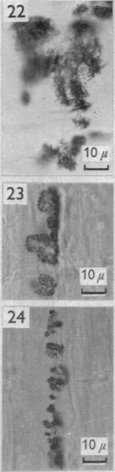 Fig. 22-24