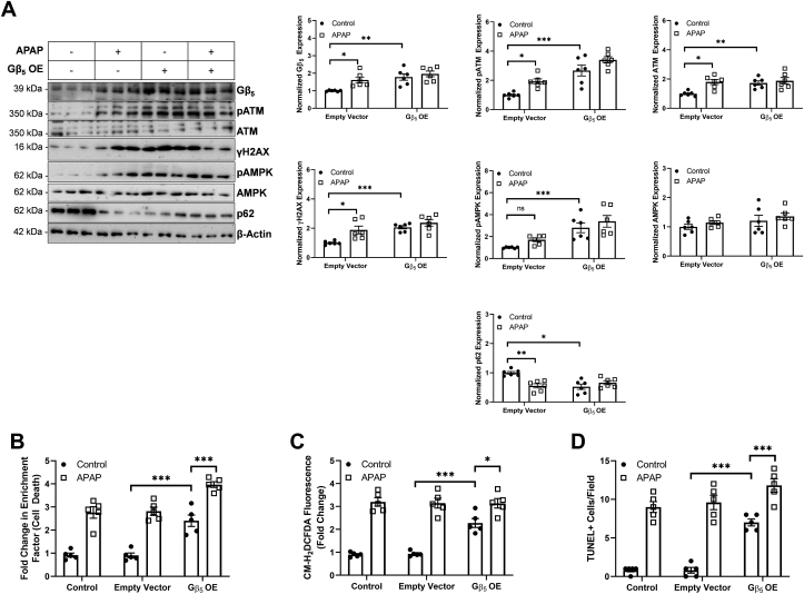 Fig. 7