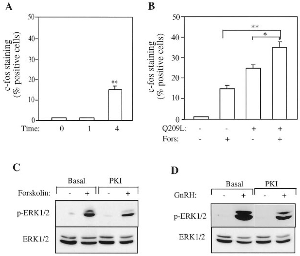 FIG. 8