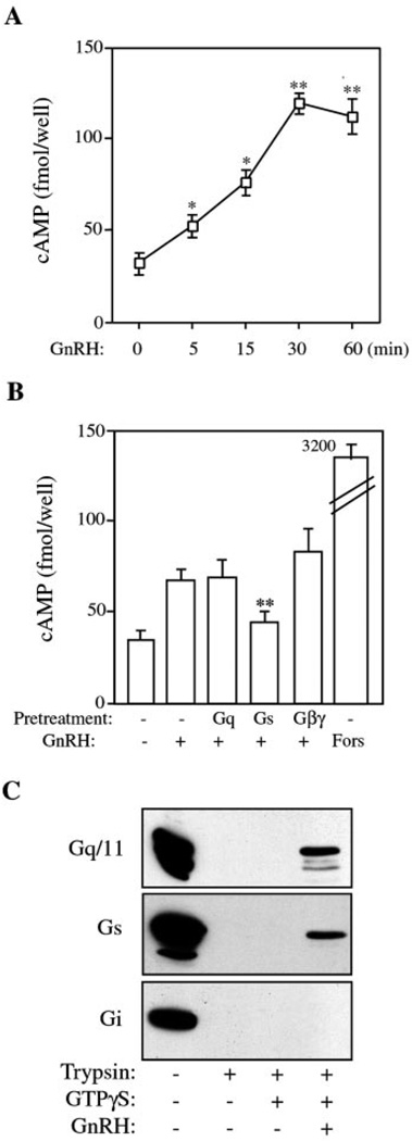 FIG. 7