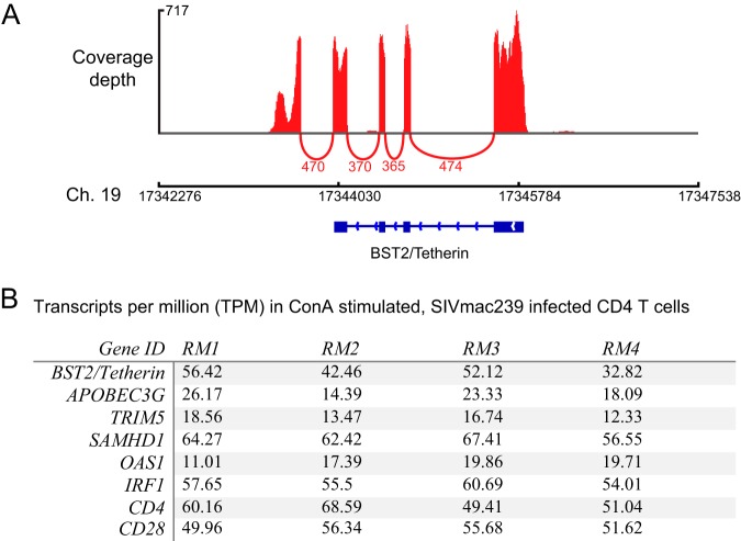 FIG 4