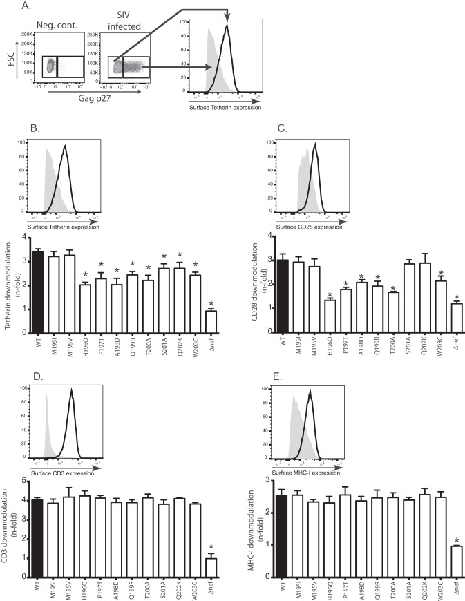 FIG 5