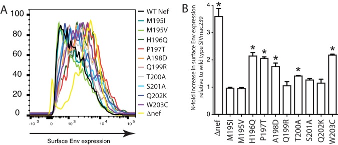 FIG 6