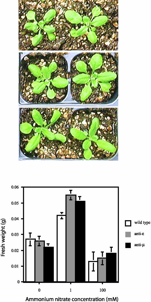 Figure 5.