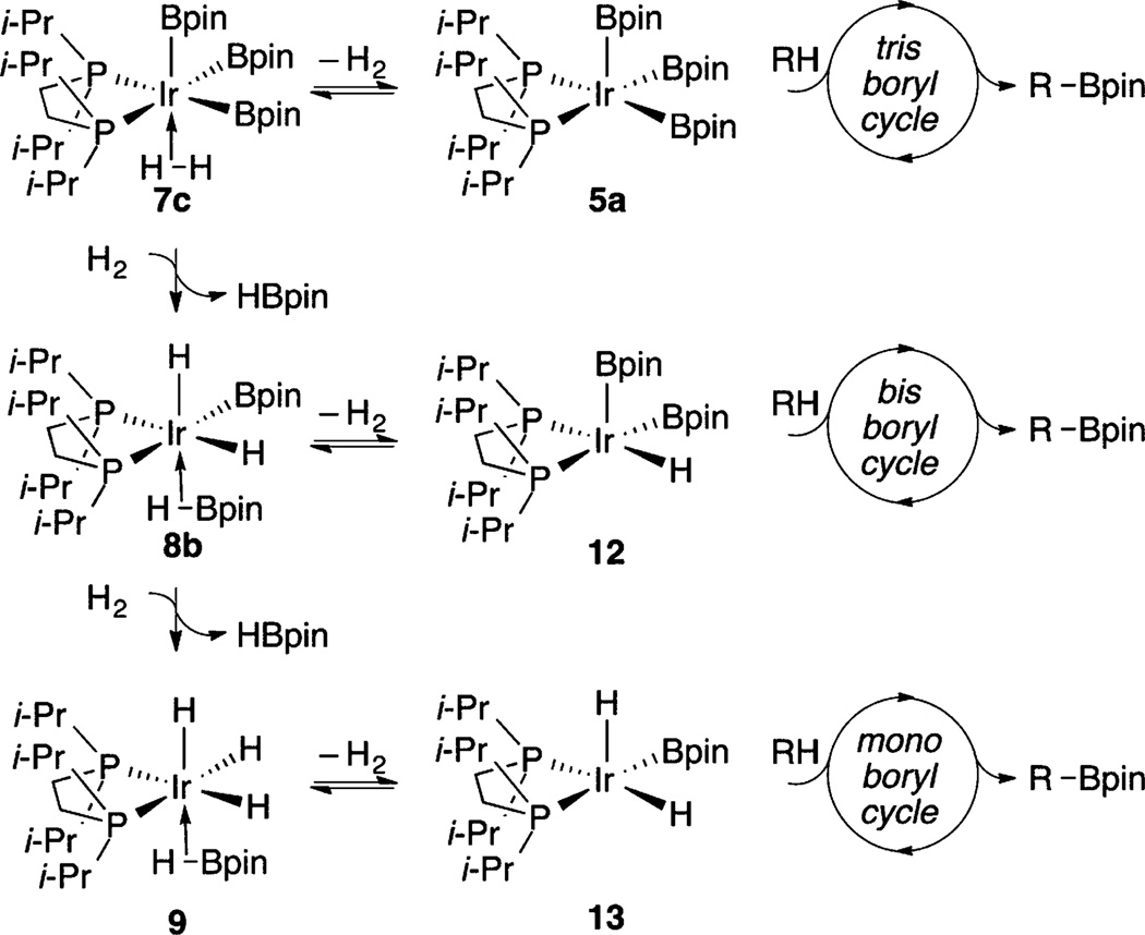 Scheme 5