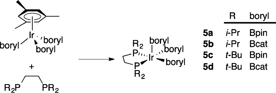 Scheme 2