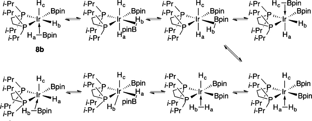 Scheme 3