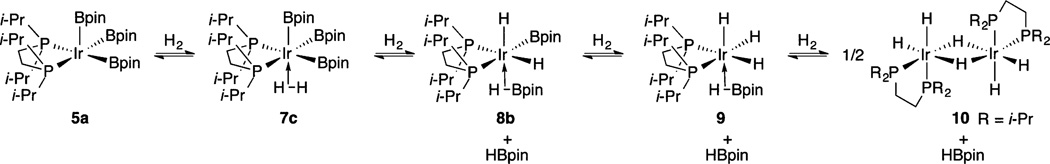 Scheme 4