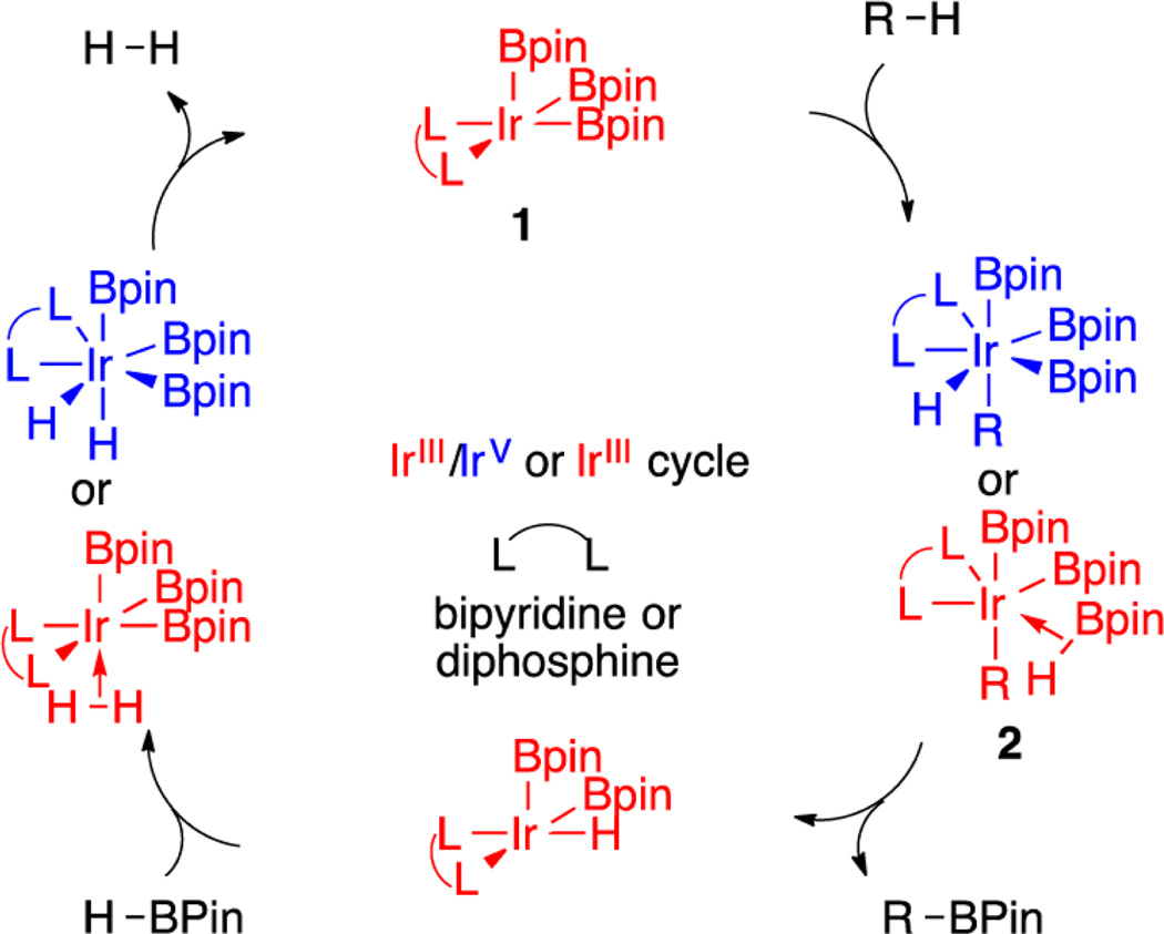 Scheme 1