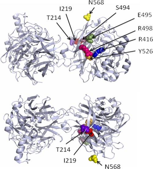 FIG. 1.