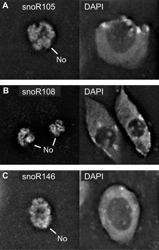 Figure 7.